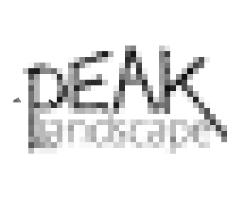 Peak Landscape