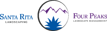 Santa Rita Four Peaks Landscaping