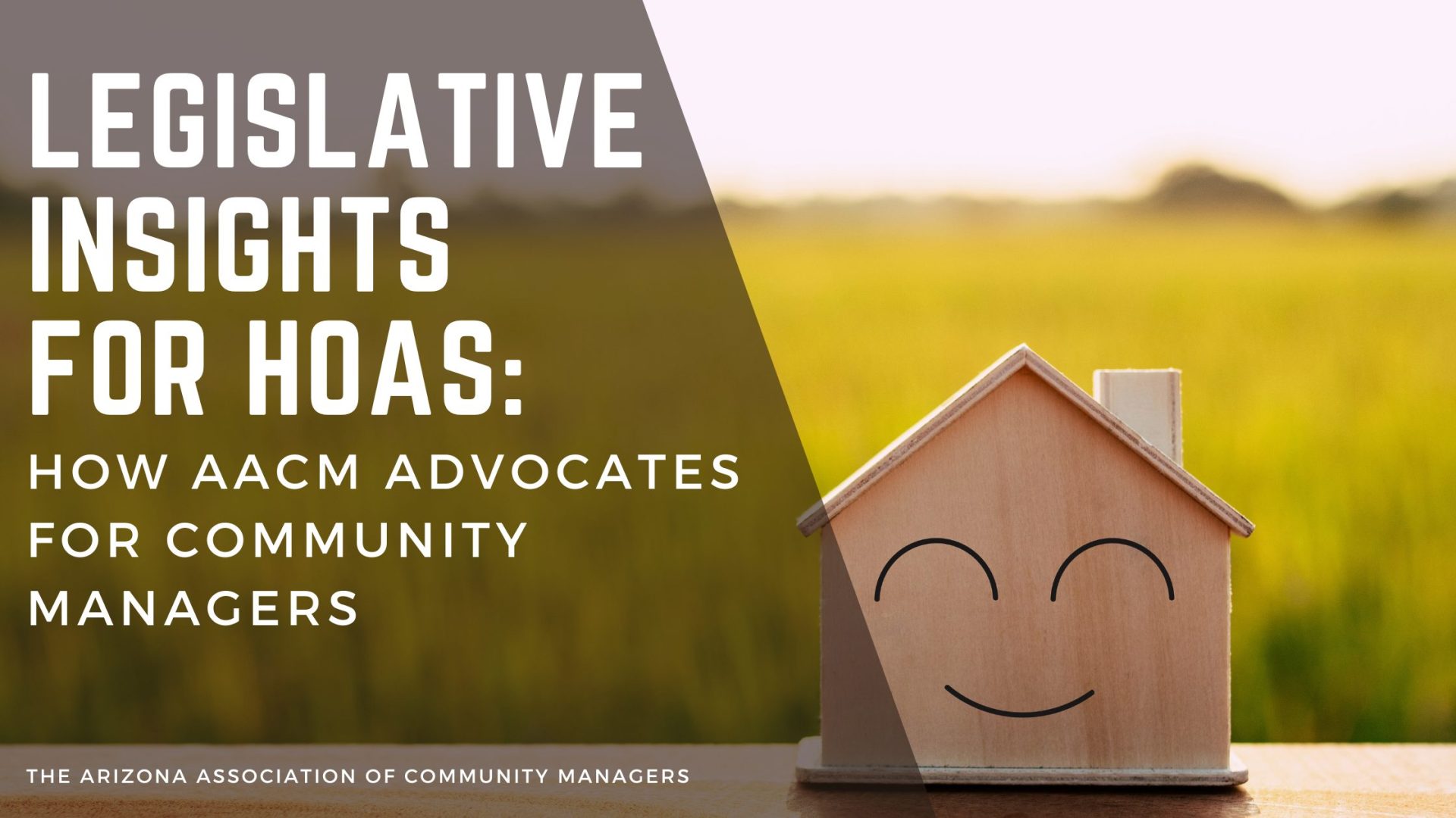 Legislative Insights for HOAs: How AACM Advocates for Community Managers