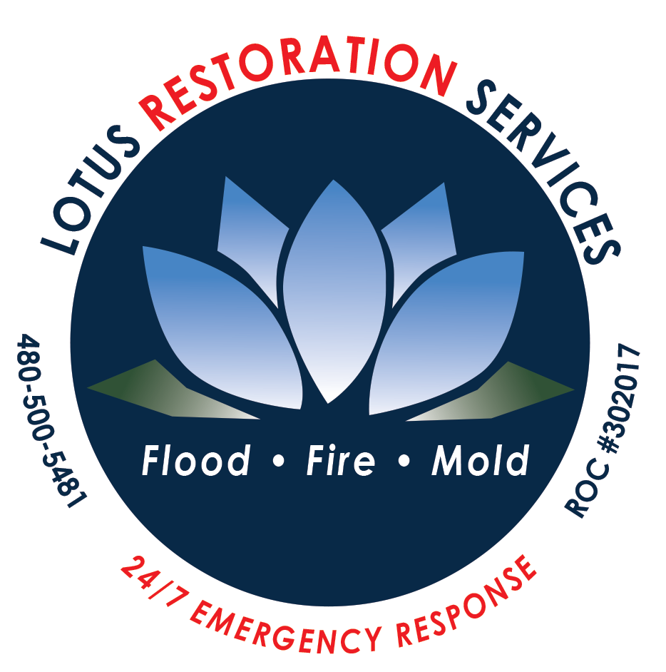 Lotus Restoration Services